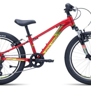 2024 Polygon Premier 20 inch Kids Ultralight Mountain Bike