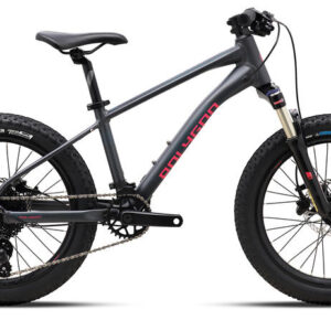 2024 Polygon Xtrada 20 - Kids Bike