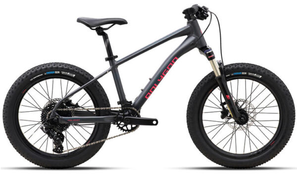 2024 Polygon Xtrada 20 - Kids Bike