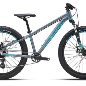 2024 Polygon Premier 24 XC Disc - Lightweight Kids Bike
