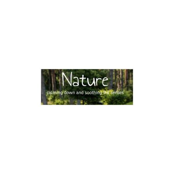 Nature Inspired Large Pouf by NOVUM, 4641688 - Image 2