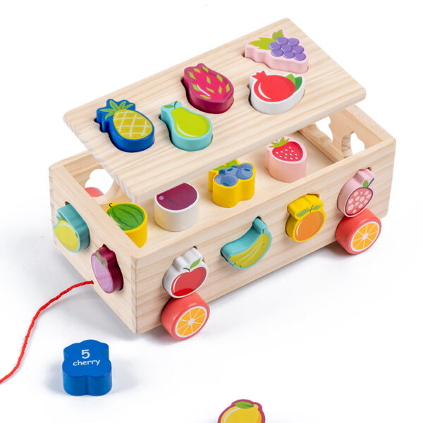 Fruit Shape Matching Blocks