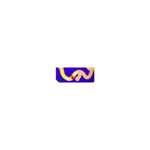 Junior Amazer by Playscapes, Purple & Maple, 20-AMZ-JR1 - Image 6