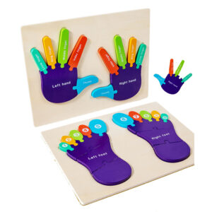 Wholesale Montessori Cognition Hands And Feet Teaching Toy